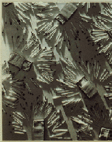 Photograph by Edward Steichen "Matches and Match Boxes" 1925